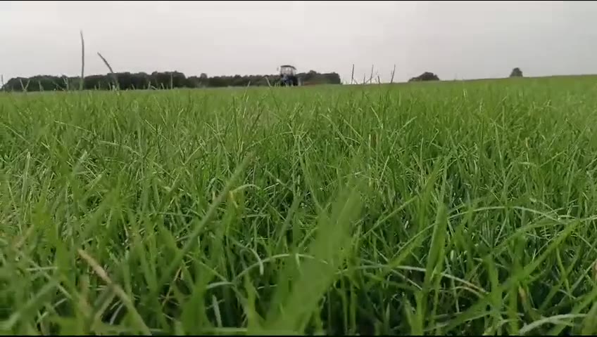 Видео с полей Premier Gazon 11