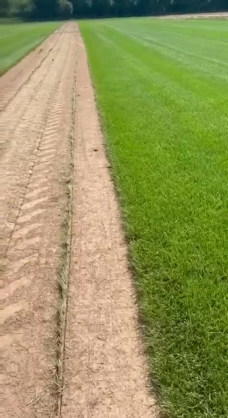 Видео с полей Premier Gazon 23