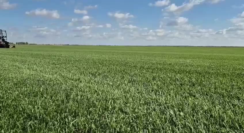 Видео с полей Premier Gazon 24
